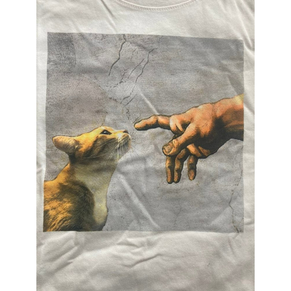 GAP Other - Michelangelo Cat Nose Boop Gap Teen sz 10 SS Crop t Shirt NWT
